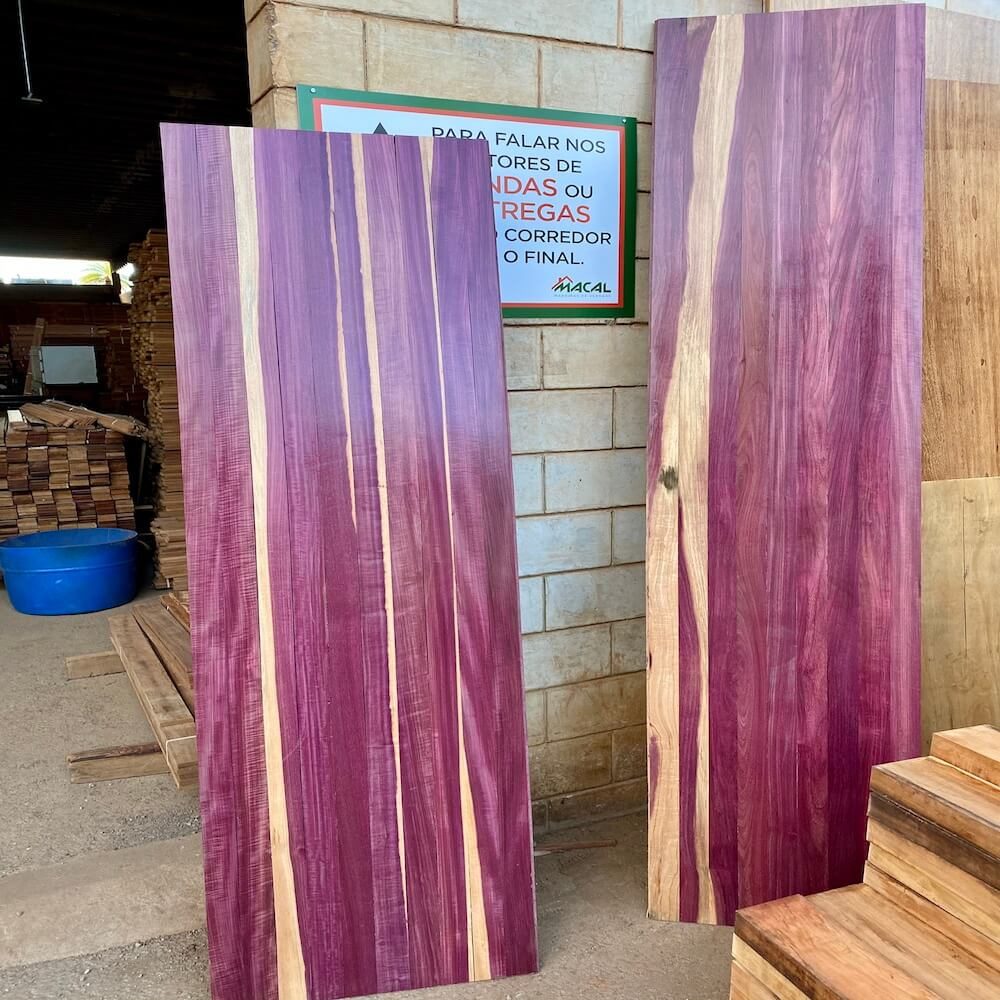 3889796000079915021